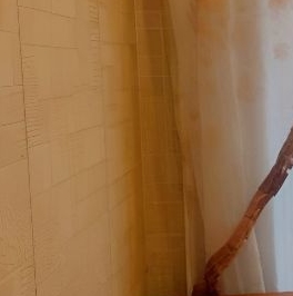 Аренда 2-комн квартиры на вторичном рынке улица Академика Скрябина, 28К2 Аренда 2-комн квартиры на вторичном рынке улица Академика Скрябина, 28К2