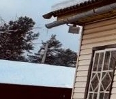 Продать Дачи, коттеджи, загородные дома Луга, улица Дмитриева, 21   