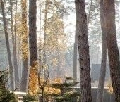 Продать Земельные участки, земля пос. Западная Лица, улица Мостовая, 1   