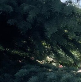 Продажа дома Шлиссельбург, улица Преображенская, 31 Продажа дома Шлиссельбург, улица Преображенская, 31