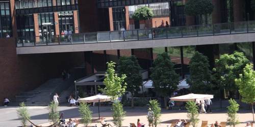 5-комн квартира Ефремова улица,  д. 10,  к. 1