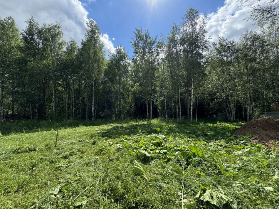 Продажа земли Щёлково, Соловьиная улица