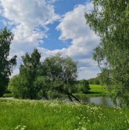 Продажа земли Ванвилладж, ул Рубиновая,  д. 23