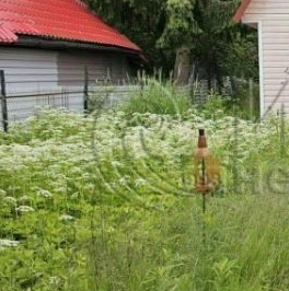 Продажа дома Фауна СНТ, 148 Продажа дома Фауна СНТ, 148