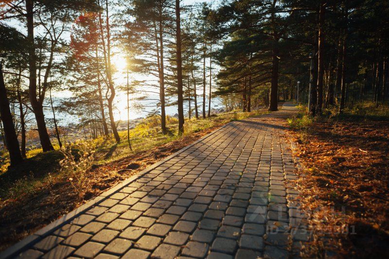 Продажа земли Морские Террасы кп, пос. Пески