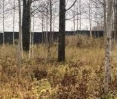 Продать Земельные участки, земля Пушкин, UP-квартал Пушкинский ЖК   