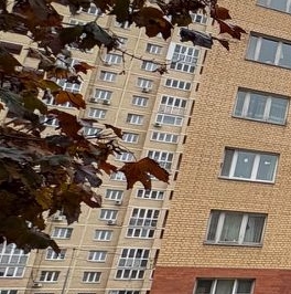 Продажа 1-комн квартиры на вторичном рынке Пироговский мкр, улица Тимирязева, 8