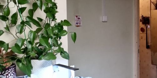 2-комн квартира Северный проспект, 73К3