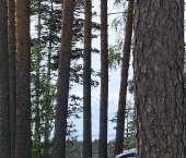 Продать Дачи, коттеджи, загородные дома Акватория кп, пос. Пески, 257/1   