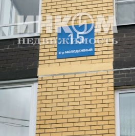 Продажа 1-комн квартиры на вторичном рынке Мисайлово д, Молодежный (Пригород Лесное мкр) б-р,  д. 15