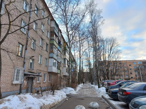 Продажа 1-комн квартиры на вторичном рынке Пушкино, Лесная,  д. 10