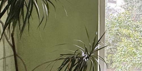 1-комн квартира пос. Шушары, Школьная улица, 30