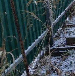 Продажа земли Петергоф, Озерковое СНТ Продажа земли Петергоф, Озерковое СНТ