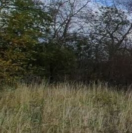 Продажа земли д. Верхние Венки, улица Рождественская