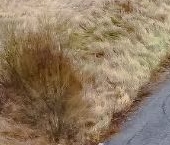 Продать Земельные участки, земля Росток кп, улица Луговая   