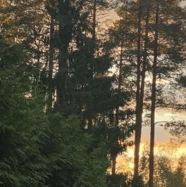 Продажа дома Сертолово, Медное Озеро-3 СНТ, улица Сосновая Продажа дома Сертолово, Медное Озеро-3 СНТ, улица Сосновая