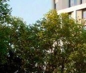 Продать Квартиры вторичка Киевская улица, 5к6   