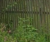 Продать Земельные участки, земля Отрадное, проспект 3-й Советский, 81   