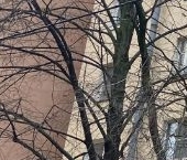 Продать Квартиры вторичка Красносельская улица, 4   