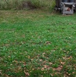 Продажа земли Спутник-2 СНТ