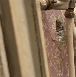 Продажа 1-комн квартиры на вторичном рынке Кировск, Молодежная улица, 7к1