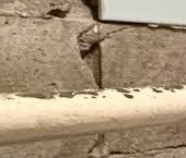 Продать Квартиры вторичка Ленинградское шоссе, 36К1   