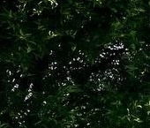 Продать Дачи, коттеджи, загородные дома д. Ям-Ижора, улица Ленинградская, 49   