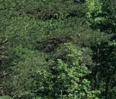 Продать Дачи, коттеджи, загородные дома Пухолово кп, д. Пухолово   