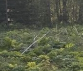 Продать Земельные участки, земля Линтулово кп, бульвар Весенний   