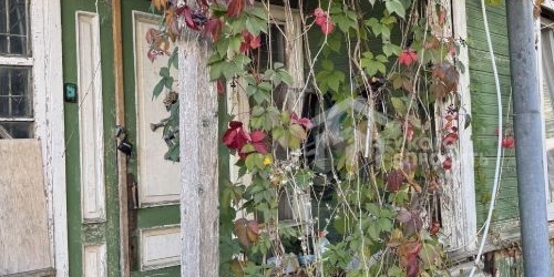 Коттедж/дом Петергоф, улица Луизино