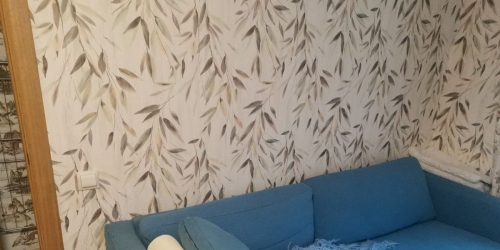 1-комн квартира Петергоф г., Озерковая ул. ,  д. 3