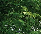 Продать Квартиры вторичка Шелепихинская набережная, 42к3   