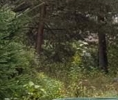 Продать Дачи, коттеджи, загородные дома Спутник-2 садовое товарищество  195 