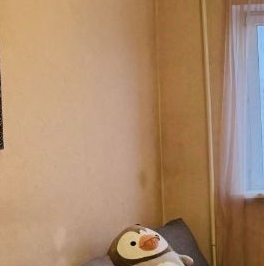 Аренда 2-комн квартиры на вторичном рынке Люберцы, улица Кирова, 3