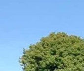 Продать Земельные участки, земля д. Подгородье, улица Новгородская, 14   