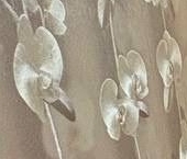 Продать Квартиры вторичка д. Торосово, 7   