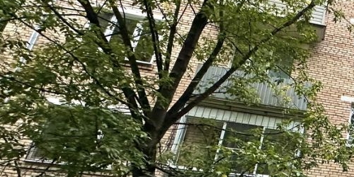 2-комн квартира 11-я Парковая улица, 42К1