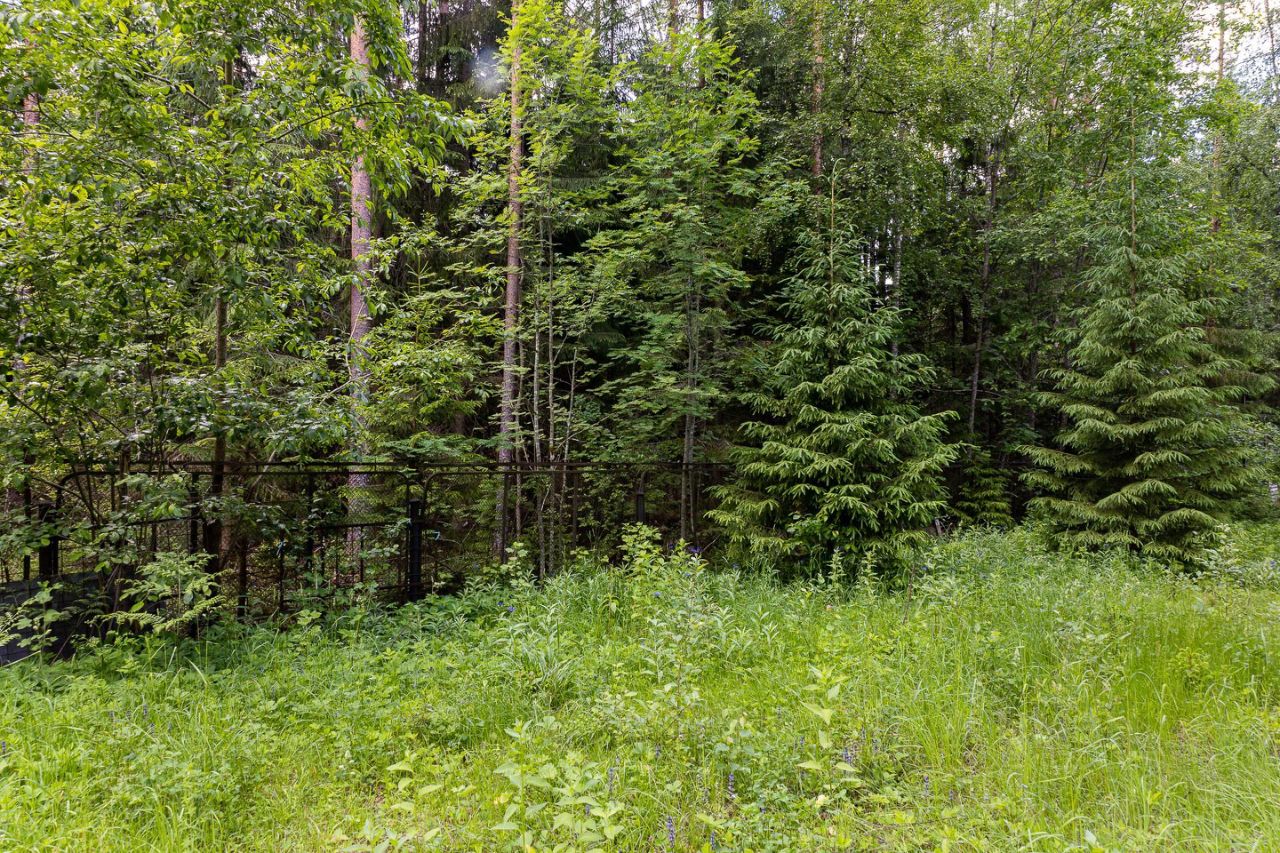 Продажа дома Борки дачный потребительский кооператив,  д. 468