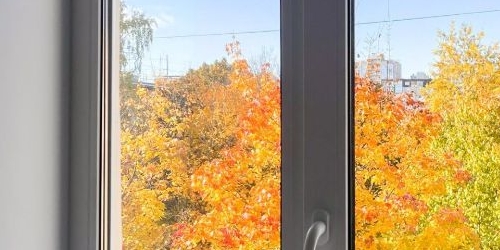 1-комн квартира 1-й Муринский проспект, 13