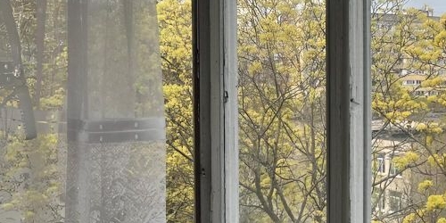 2-комн квартира Красное Село, Бронетанковая улица, 11к1