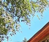 Продать Квартиры вторичка Малаховка пгт, улица Пушкина, 25   