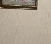 Сдать в аренду Квартиры вторичка Гатчина, улица Чкалова  15 