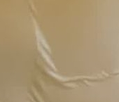 Продать Дачи, коттеджи, загородные дома Посадников остров садоводческий массив, Рассвет СНТ, 40-я линия, 101   