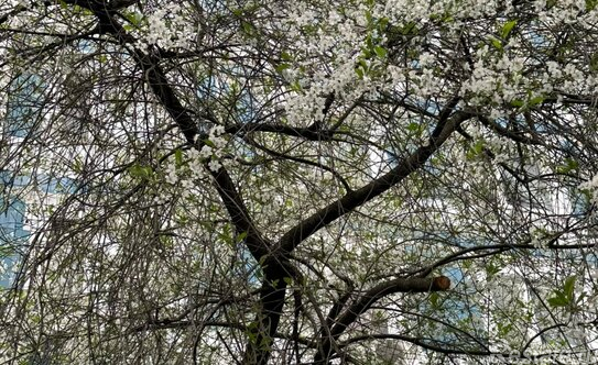 Продажа 2-комн квартиры на вторичном рынке Батайский проезд,  д. 1