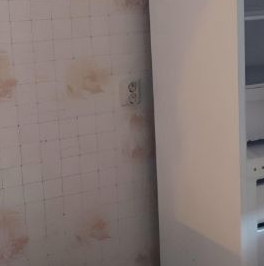 Аренда 1-комн квартиры на вторичном рынке Колпино, шоссе Вознесенское, 49к2