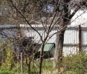 Продать Дачи, коттеджи, загородные дома Ломоносов, улица Кипренского, 45/17   