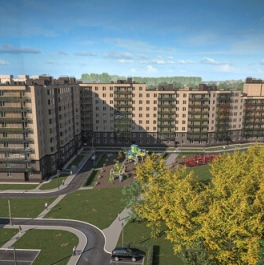 Продажа 1-комн квартиры на вторичном рынке Новое Девяткино, ул Лесная,  д. 19