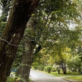 Продажа 3-комн квартиры на вторичном рынке Апрелевка, улица Комсомольская, 5 Продажа 3-комн квартиры на вторичном рынке Апрелевка, улица Комсомольская, 5