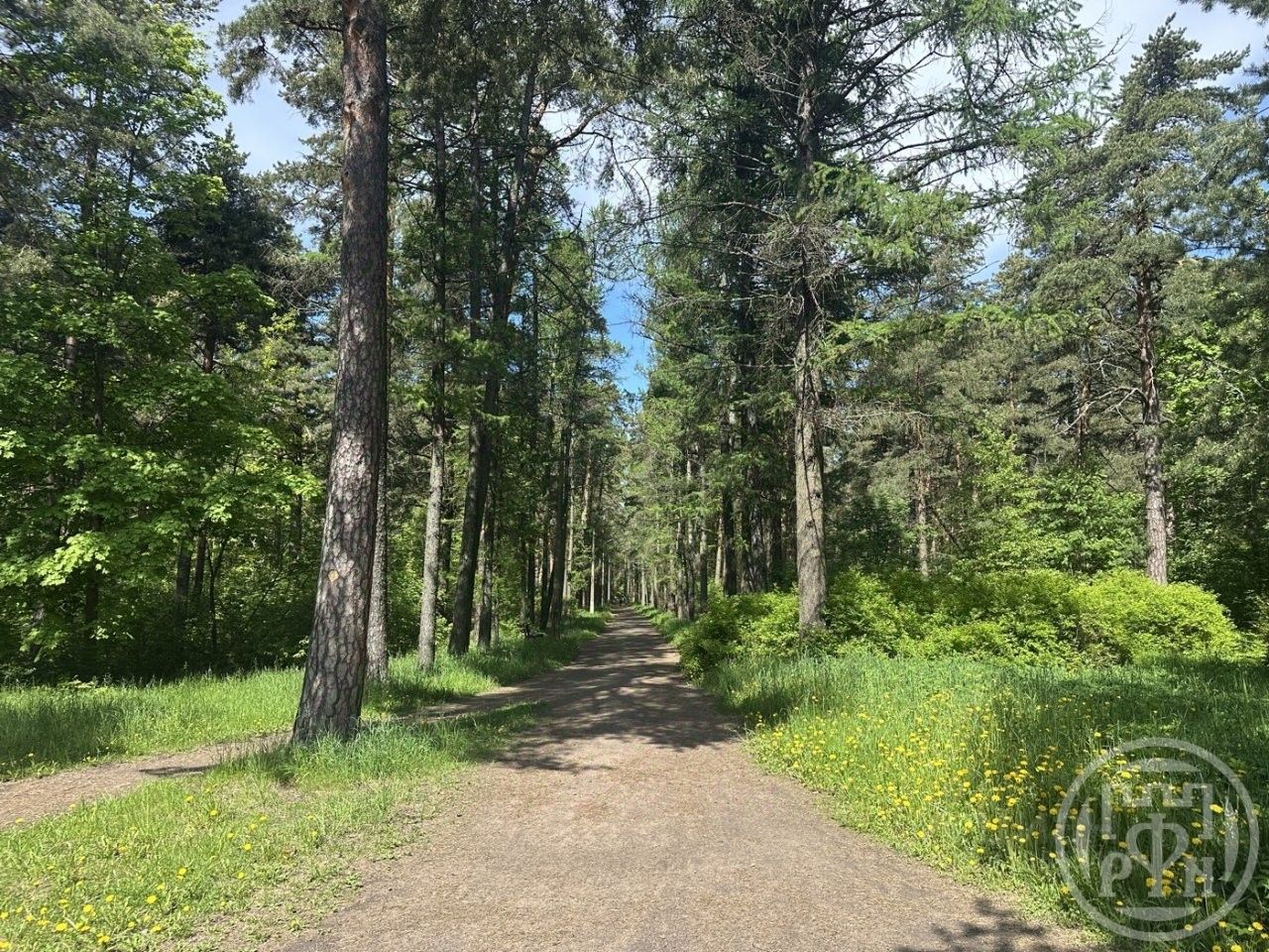 Продажа земли Сестрорецк, Ермоловский переулок, 5