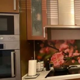 Аренда 1-комн квартиры на вторичном рынке улица Плещеева, 24